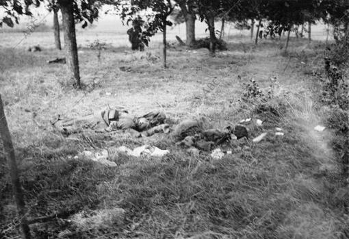 Cadáveres de soldados alemanes encontrados en uno de los puntos de la extensa línea en que se libró la batalla del Marne